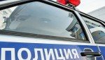 В Шатрово полицейские задержали подозреваемых в незаконной охоте на лося